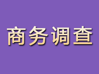 平利商务调查